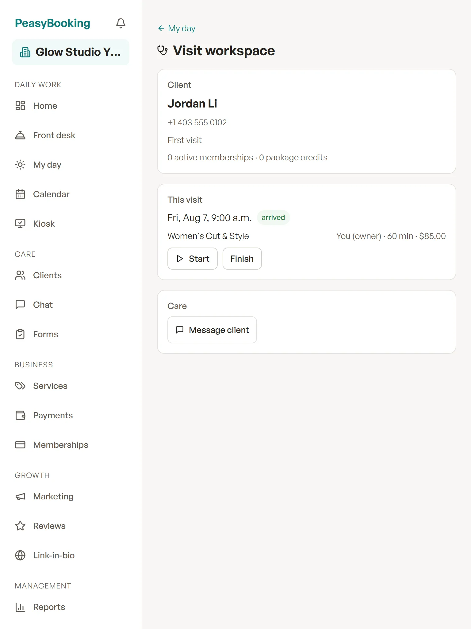 The visit workspace showing the client, this visit, and care actions.